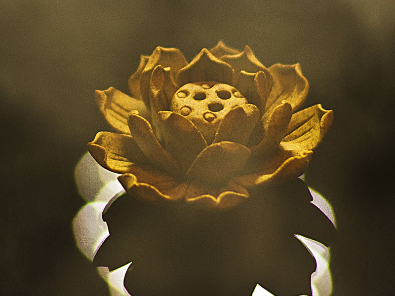 多元紙紮選擇，滿足各類需求