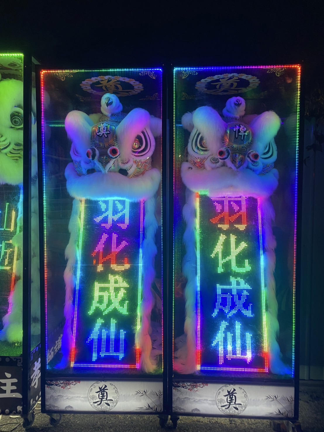 靈獅出租/喪用白獅